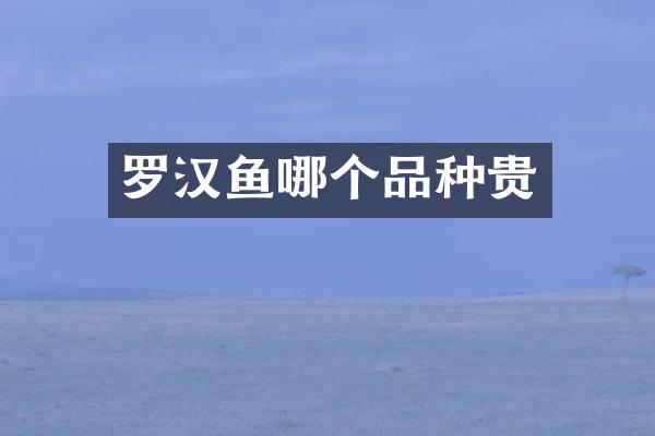 罗汉鱼哪个品种贵