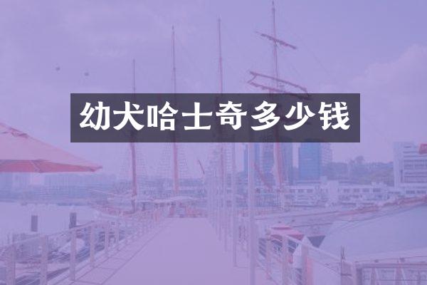 幼犬哈士奇多少钱