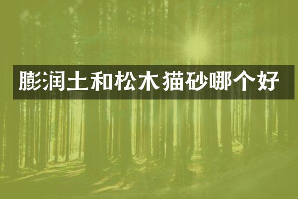 膨润土和松木猫砂哪个好