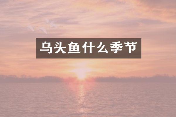 乌头鱼什么季节