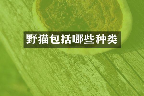 野猫包括哪些种类