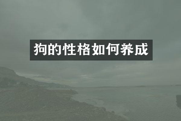 狗的性格如何养成