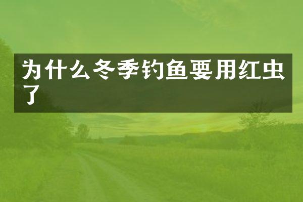 为什么冬季钓鱼要用红虫了