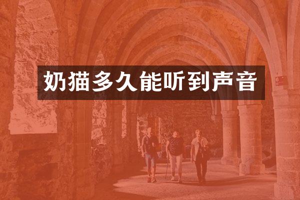 奶猫多久能听到声音