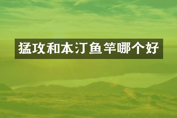 猛攻和本汀鱼竿哪个好