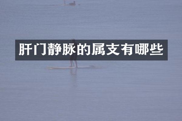 肝门静脉的属支有哪些