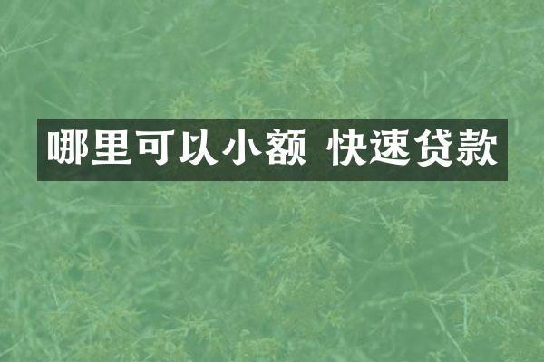 哪里可以小额 快速贷款