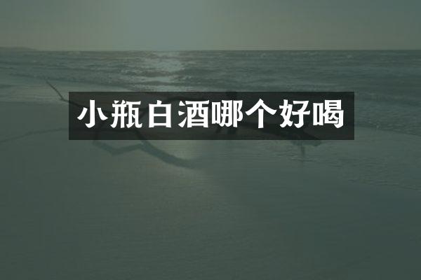 小瓶白酒哪个好喝