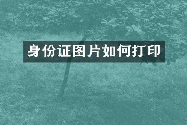 身份证图片如何打印