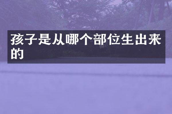 孩子是从哪个部位生出来的