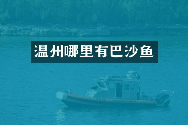 温州哪里有巴沙鱼