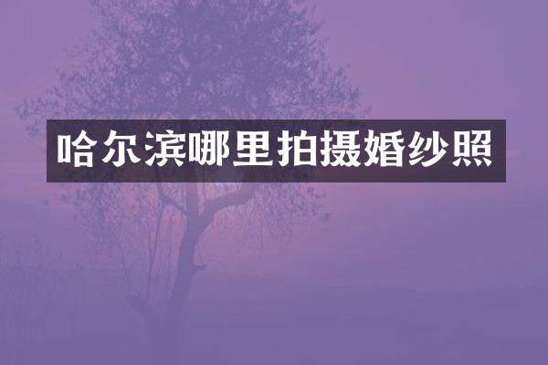 哈尔滨哪里拍摄婚纱照