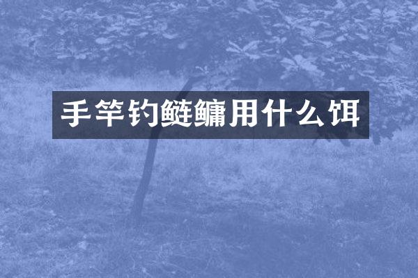 手竿钓鲢鳙用什么饵