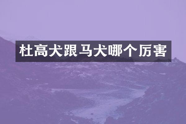 杜高犬跟马犬哪个厉害