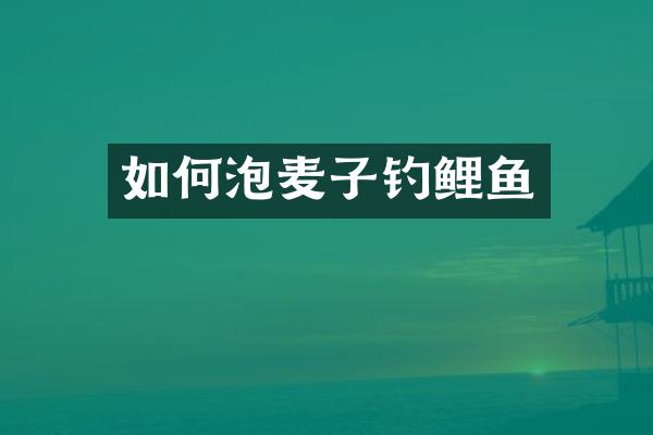 如何泡麦子钓鲤鱼