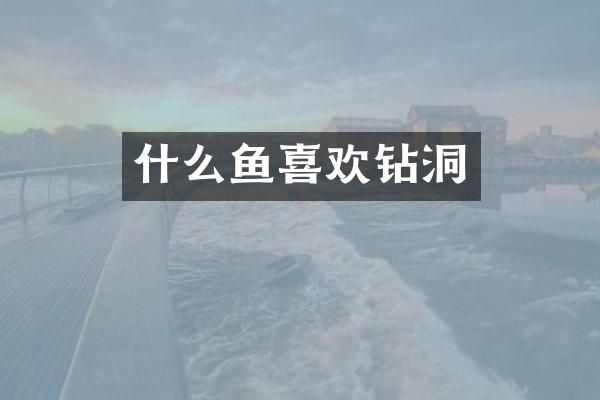 什么鱼喜欢钻洞