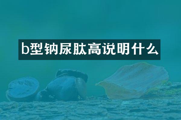 b型钠尿肽高说明什么