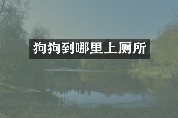 狗狗到哪里上厕所