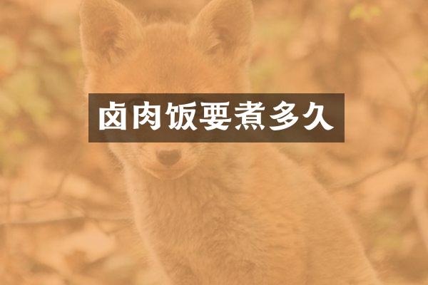 卤肉饭要煮多久