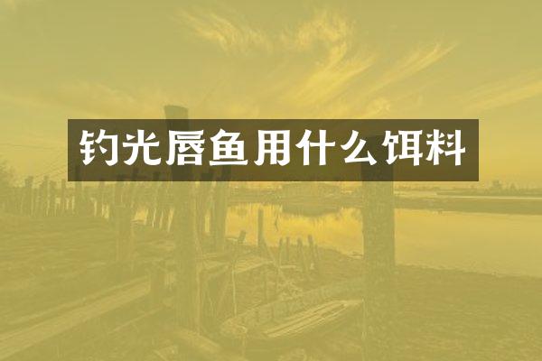 钓光唇鱼用什么饵料