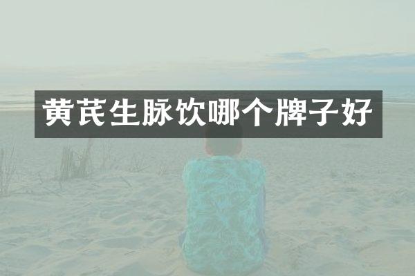 黄芪生脉饮哪个牌子好