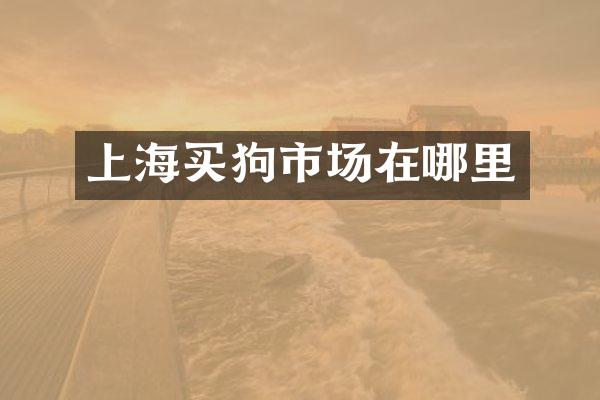上海买狗市场在哪里