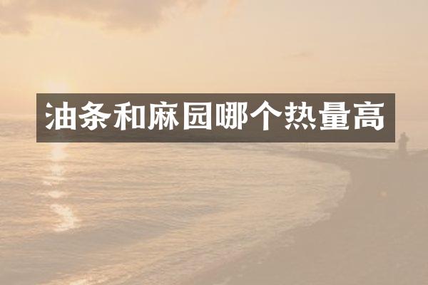 油条和麻园哪个热量高