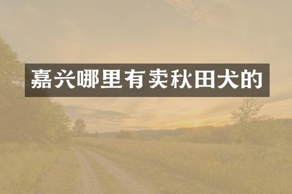 嘉兴哪里有卖秋田犬的