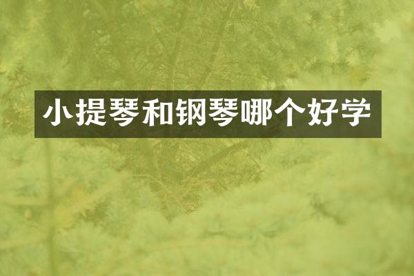 小提琴和钢琴哪个好学