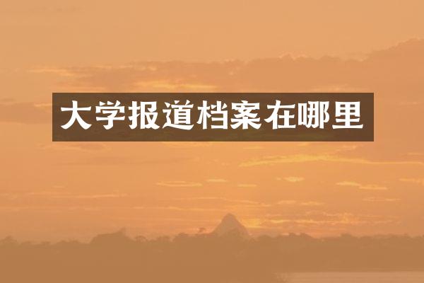 大学报道档案在哪里