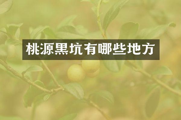 桃源黑坑有哪些地方