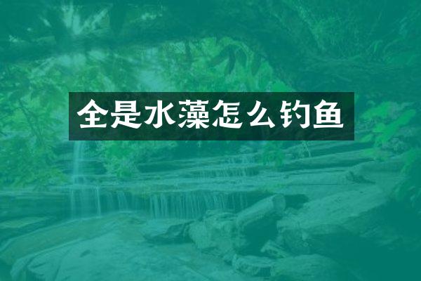 全是水藻怎么钓鱼