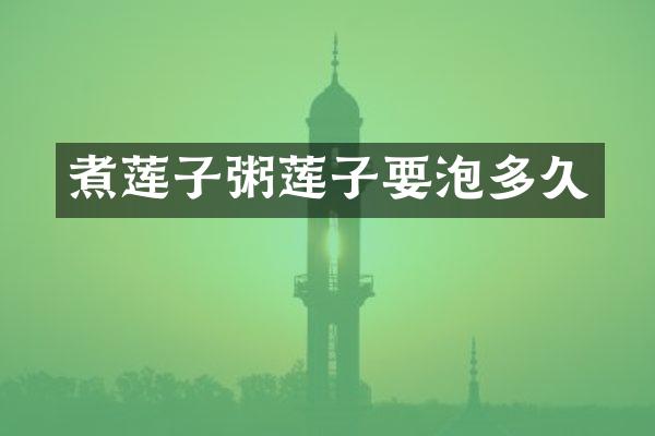 煮莲子粥莲子要泡多久