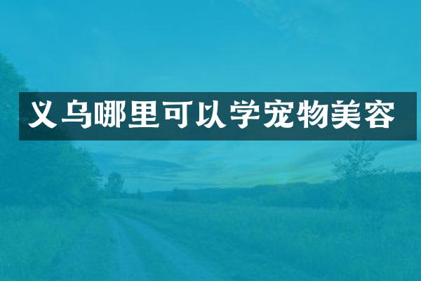 义乌哪里可以学宠物美容