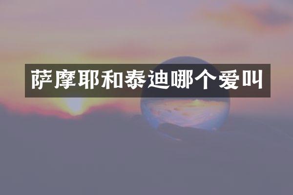 萨摩耶和泰迪哪个爱叫