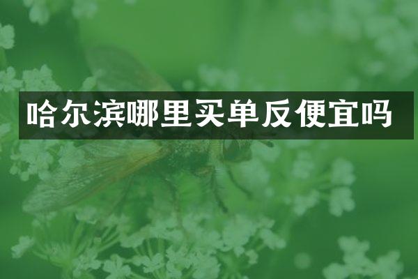 哈尔滨哪里买单反便宜吗
