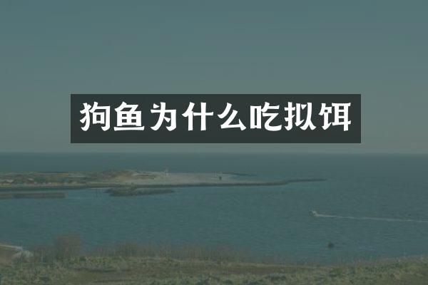 狗鱼为什么吃拟饵