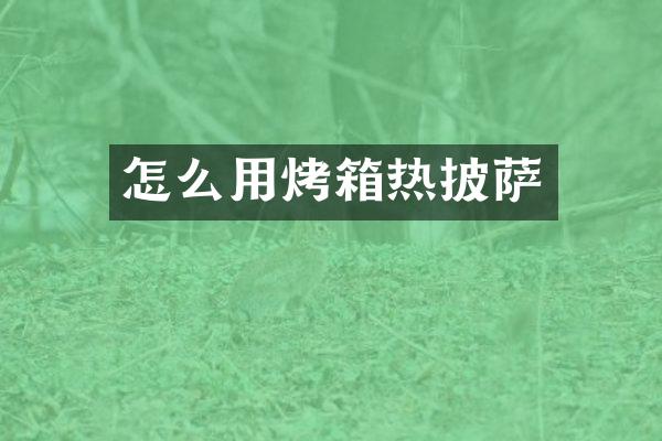 怎么用烤箱热披萨