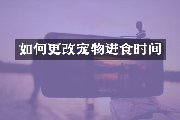 如何更改宠物进食时间