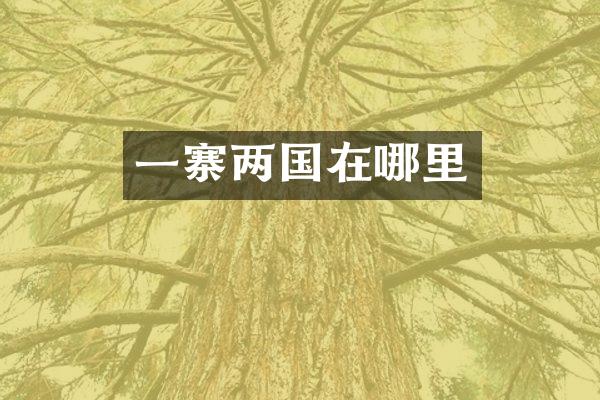 一寨两国在哪里