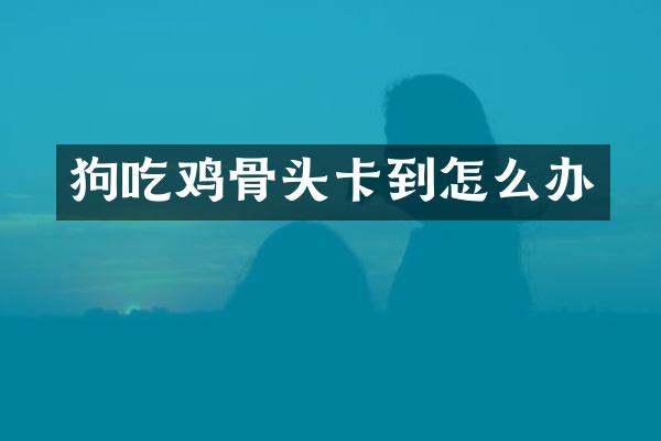 狗吃鸡骨头卡到怎么办