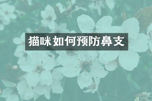猫咪如何预防鼻支
