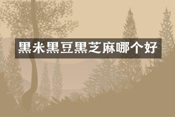 黑米黑豆黑芝麻哪个好