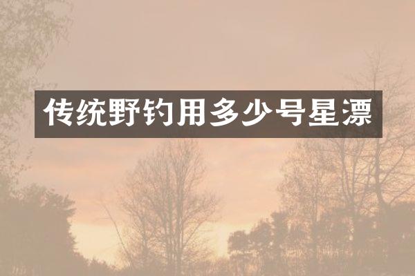 传统野钓用多少号星漂