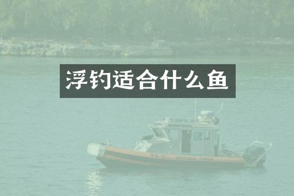 浮钓适合什么鱼