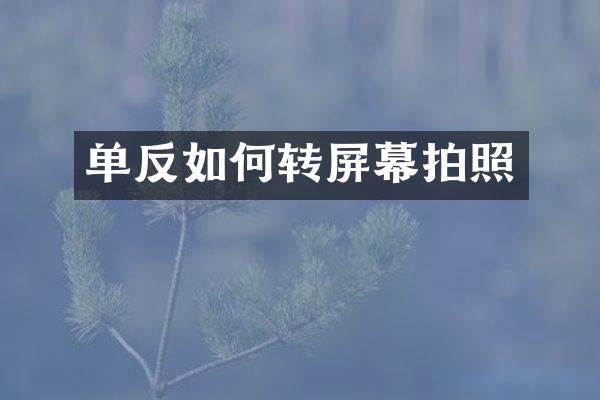 单反如何转屏幕拍照