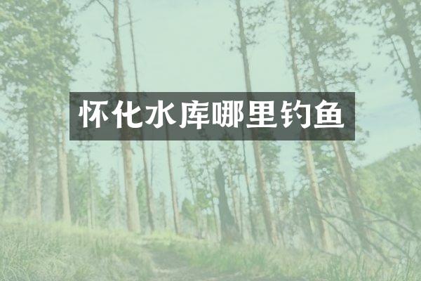 怀化水库哪里钓鱼