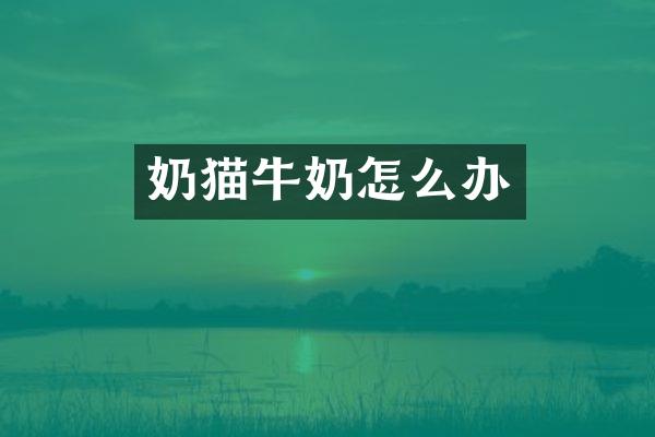 奶猫牛奶怎么办