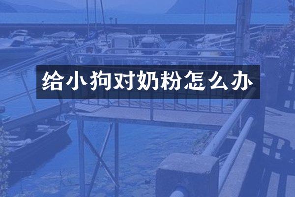 给小狗对奶粉怎么办