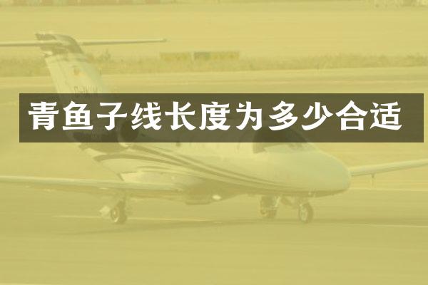 青鱼子线长度为多少合适